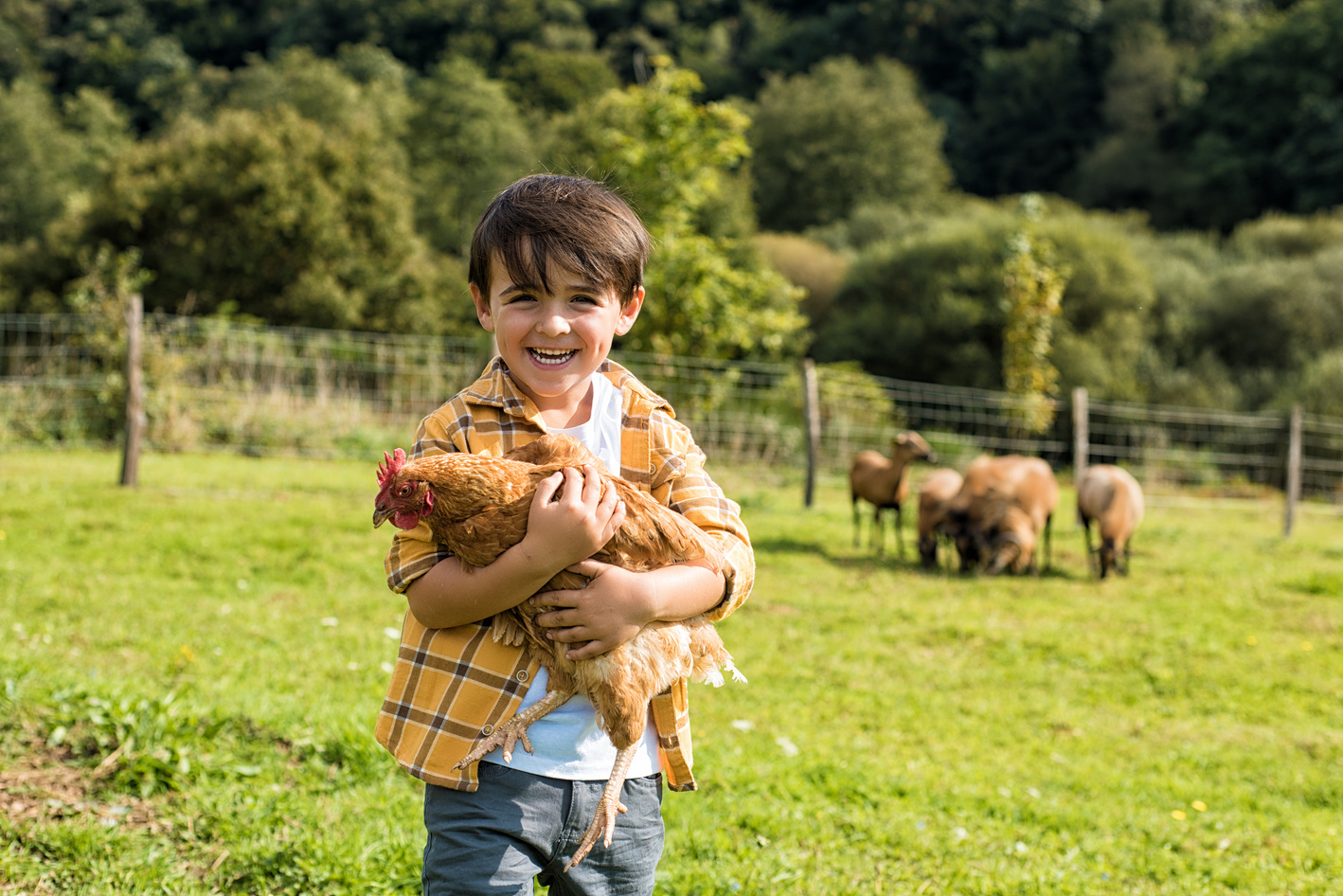 Happy Boy Carrying a Chicken in the Farm